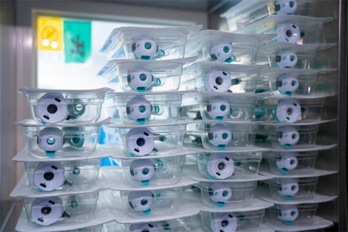 CE-zertifizierter 12-mm-Hasson-Typ Einweg-Trokar für laparoskopische Chirurgie Surgsci Medical 5