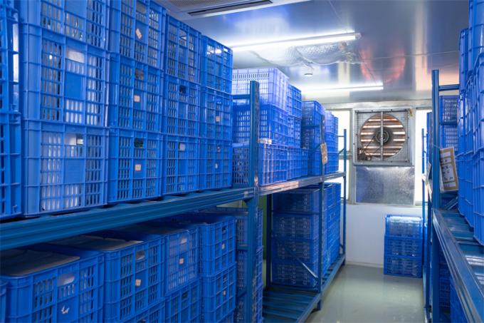 Kundengebundenes CER markierte 12mm Wegwerf-Hasson Trocar für laparoskopische Chirurgie 7