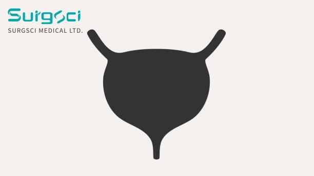 neueste Unternehmensnachrichten über Die klinische Klassifizierung der Blasentuberkulose.  0